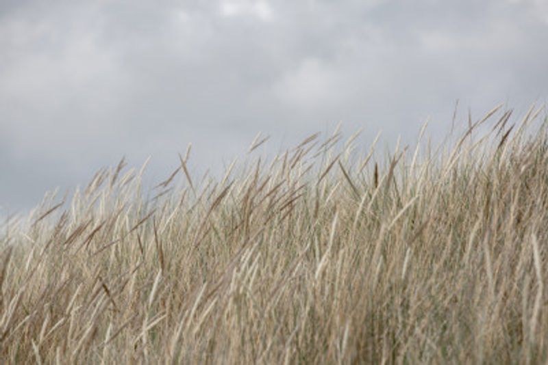 Dunes and Clouds