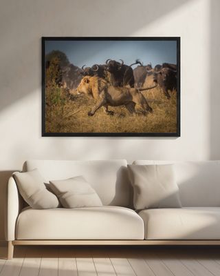 Running for his Life