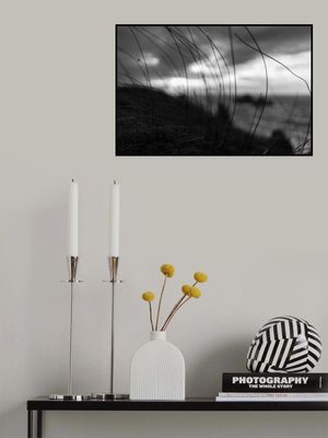 the wind brings the night