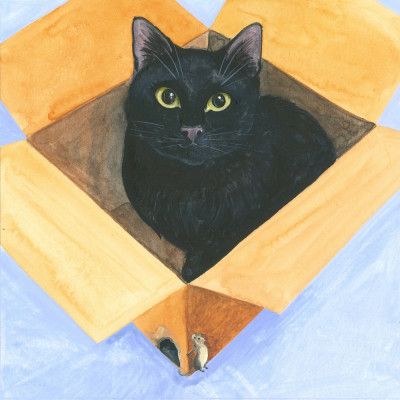 Cat In the Box