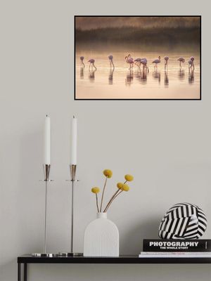 Photographic ode to Monet