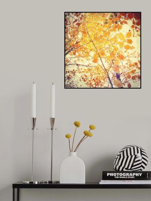 yellow autumn birch leaves