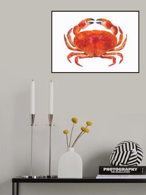 Realistic Red Crab