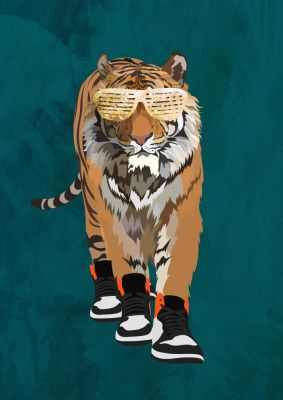 Tiger prowling in high top sneakers