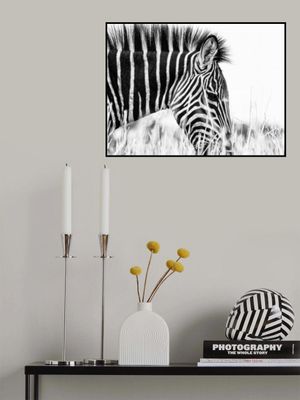 Fashionable black and white