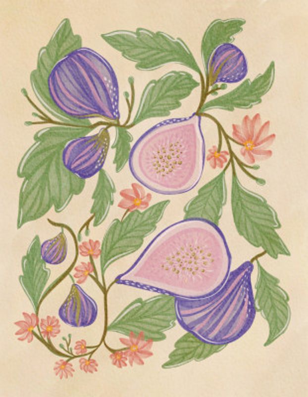 Botanical Illustration Of Figs And Flowers