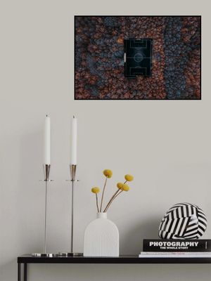 playing in the forest