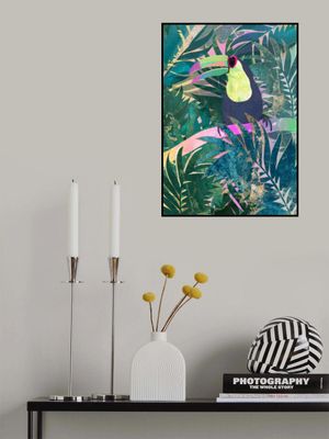 Jungle Rainbow Toucan