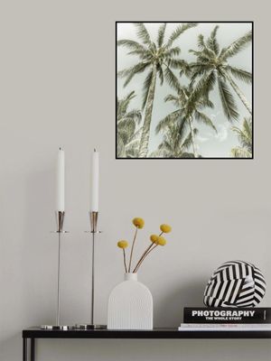 Lovely Vintage Palm Trees