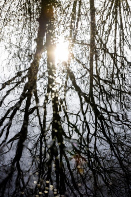 Winter Reflections 4