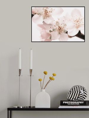 Cherry Sakura Pastel