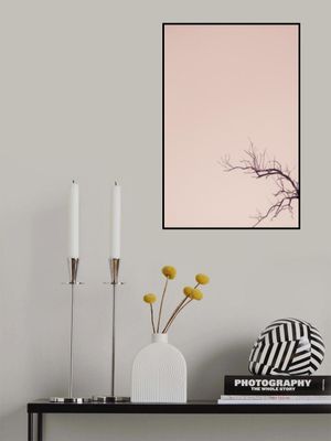 Winter Branches And A Pink Sky