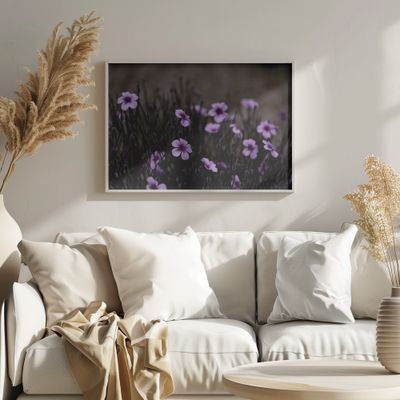Midnight Purple Blooms