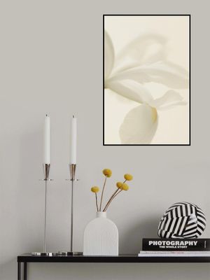 White Iris Flower Close Up