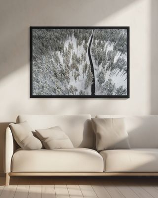 Snow Covered Trees 5