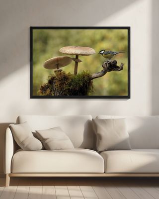 My small part of the world