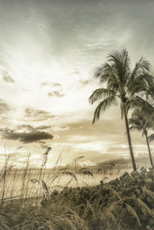 BONITA BEACH Vintage Sunset