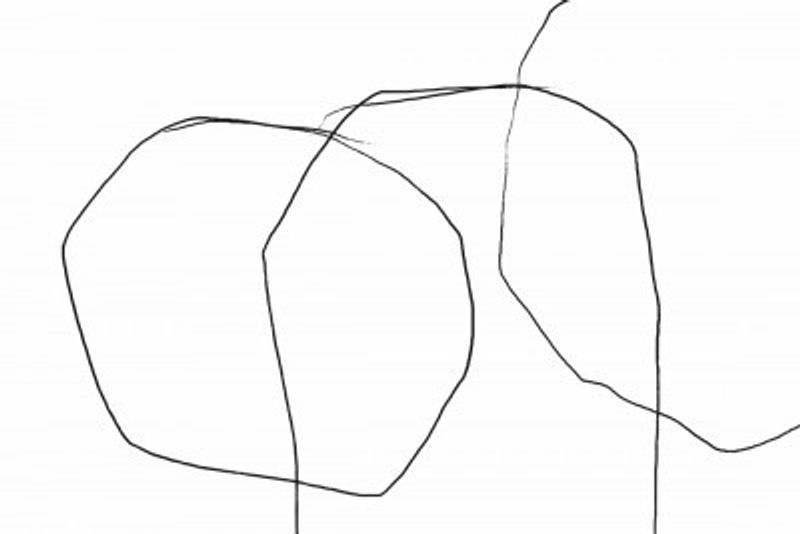 Black Lines On A White Background