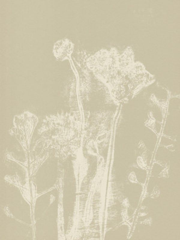 Abstract Florals. White meadow plants and flowers on neutral beige.