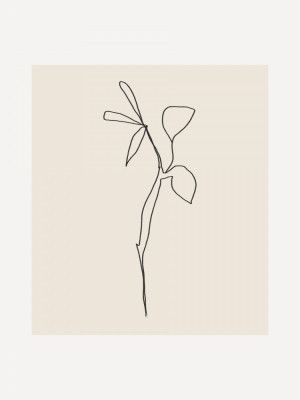 Simple Graceful Line