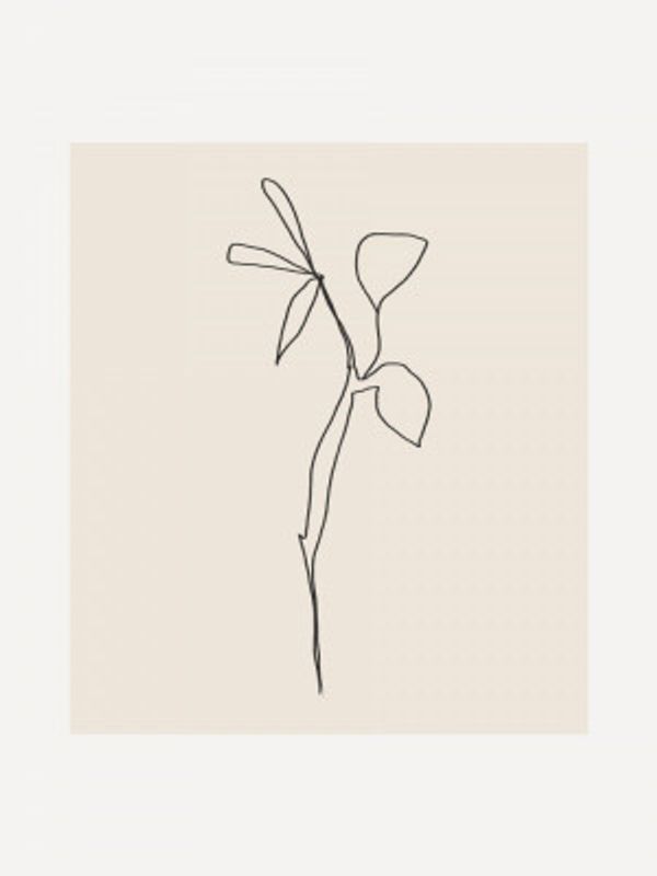 Simple Graceful Line