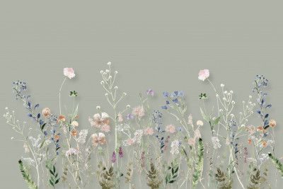 Wildflower Meadow Summer Sage