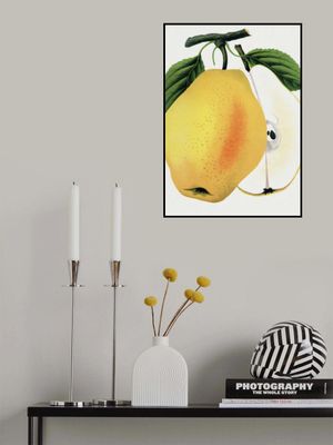 Kiefer's Hybrid Pear Lithograph