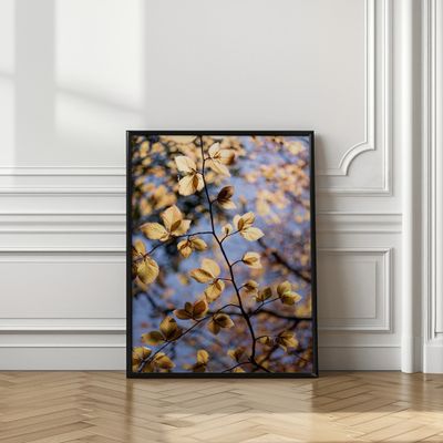 Golden Autumn Leaves