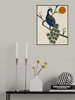 Elegant Peacock Sun