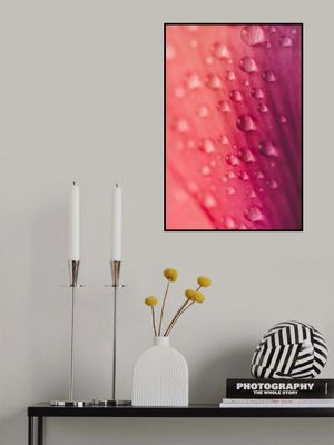 Petal Raindrops Dance