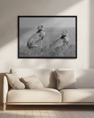 What's going on here around?