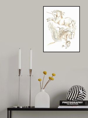 Unicorn and Pegasus