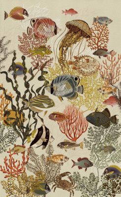 coral reef deep silence antique white