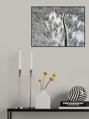 Snow Covered Trees 5