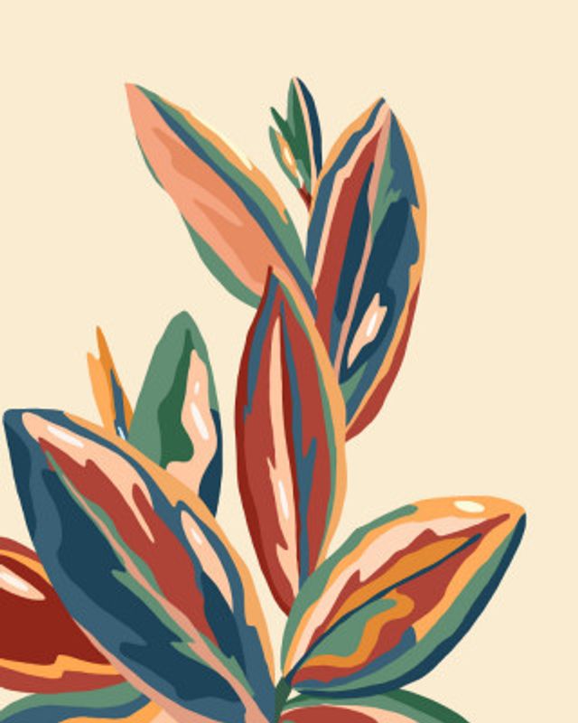 Mediterranean Botanical