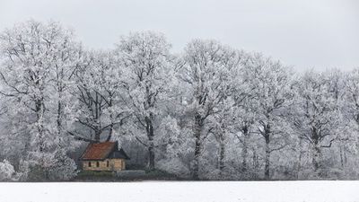 Chapel and Rime