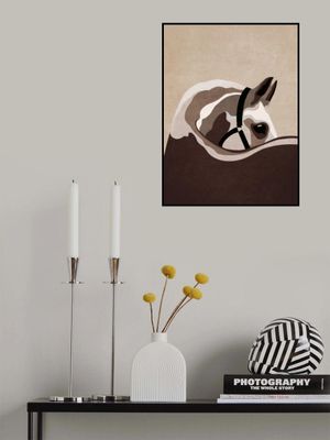 Majestic Equine Gaze