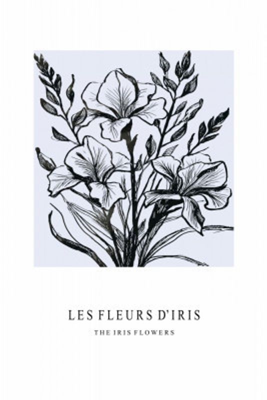 Iris Flowers In A Monochrome Illustration