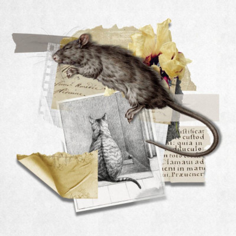 Hunter and the Hunted