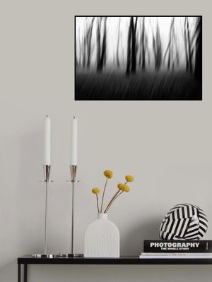 Dancing trees in the fog