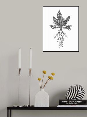 Mandrake - Hand Drawn Botanical Poster