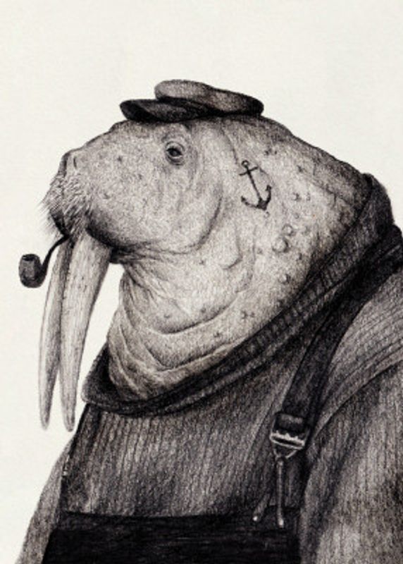 Sea Captain's Wisdom