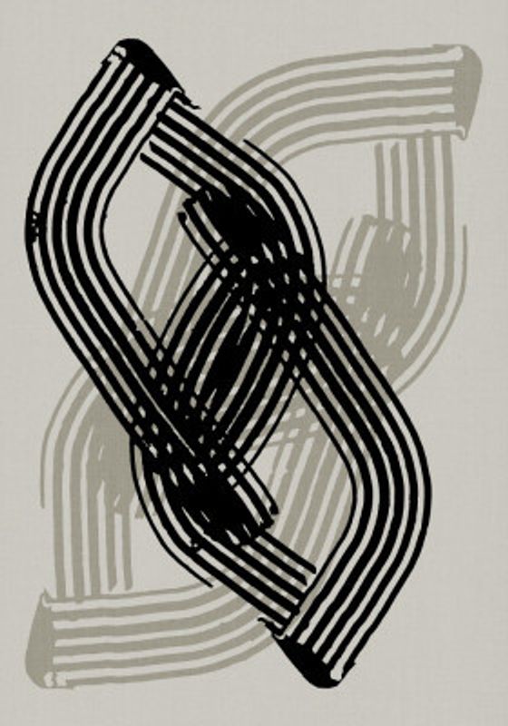 Abstract Curves in Black and Grey