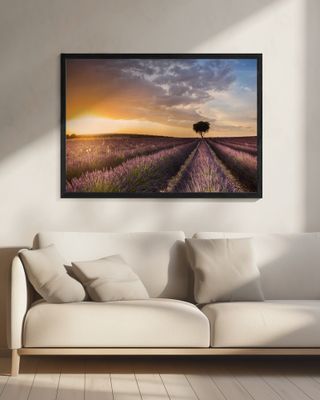 DESTINATION LAVENDER