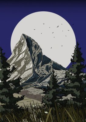 Mountain Wildflower Meadow Night