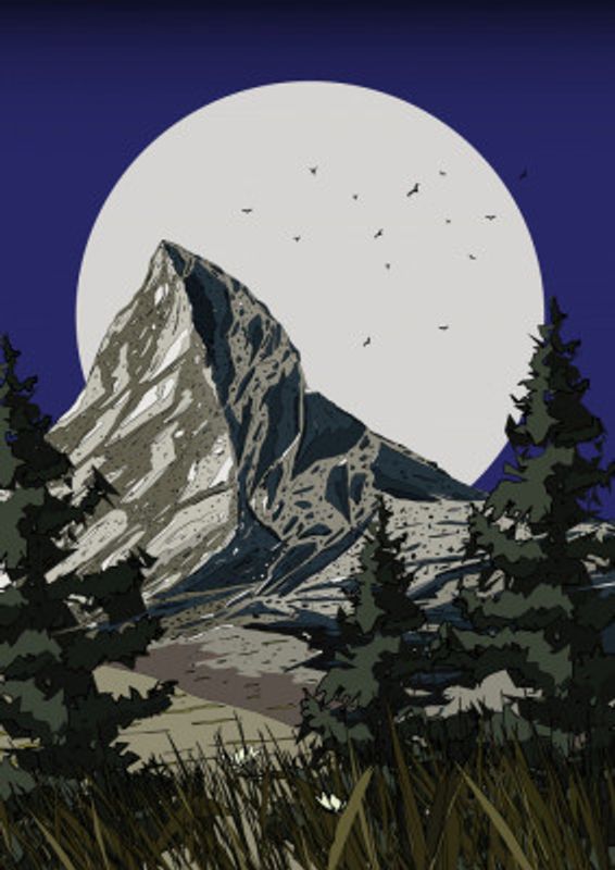 Mountain Wildflower Meadow Night