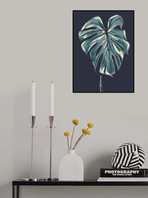 Monstera Deliciosa Dark