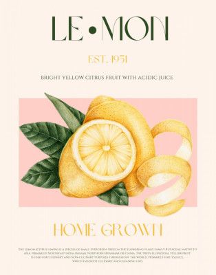 Vintage Style Sliced Lemon With Leaves