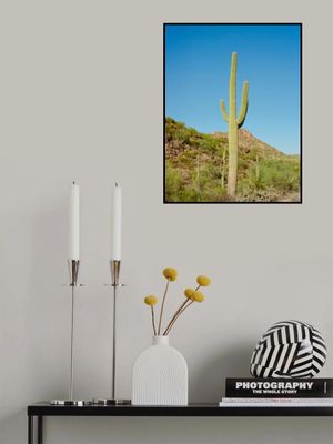 Saguaro National Park XI on Film