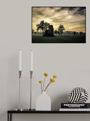 Old abandoned house covered by vegetation at sunset